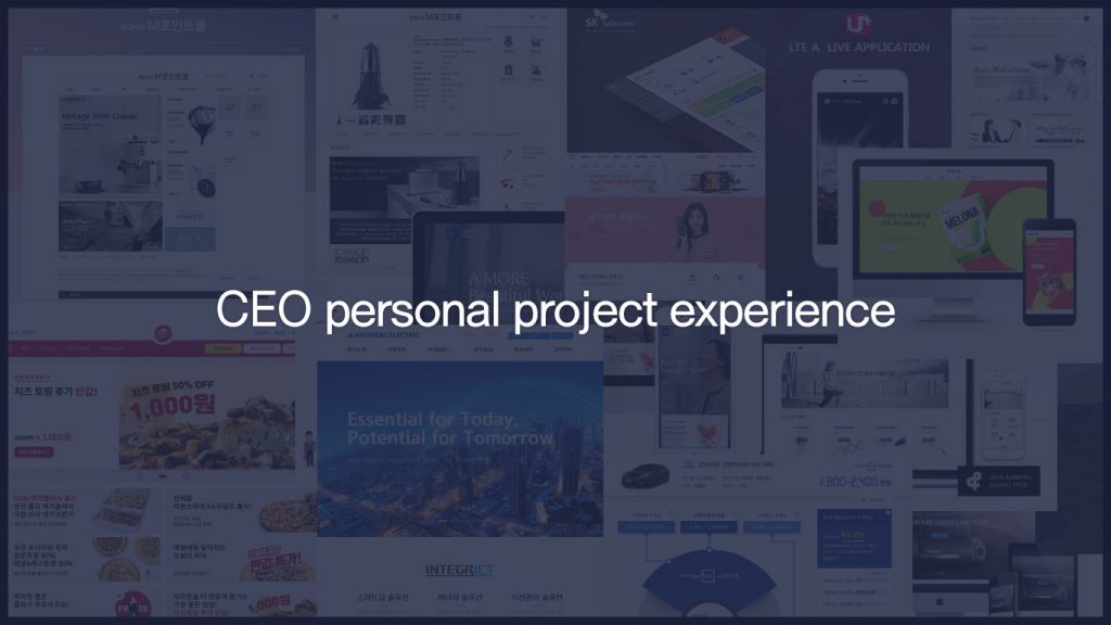 CEO Personal Project Experience